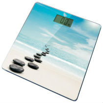 Электронные напольные весы в Радумле