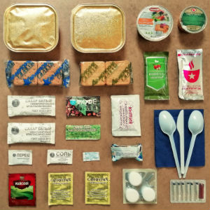 Армейский ИРП 12 в Радумле